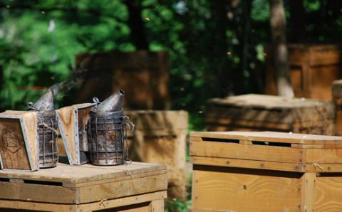 国産天然 しんかいアカシア蜂蜜（1200g） ( ふるさと納税 はちみつ アカシア蜂蜜 国産 ハチミツ 天然 濃厚 代用慮う 北海道 遠軽町 株式会社 新海養蜂場 ) en01-00161