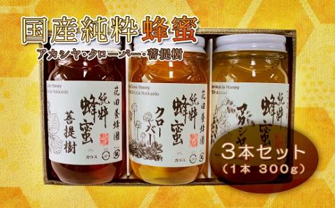 【ふるさと納税】国産純粋蜂蜜（３００g×３本） en01-00039