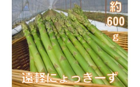 2026年 春アスパラ600g ( ふるさと納税 アスパラガス グリーンアスパラ 野菜 健康食材 天ぷら 炒め物 パスタ サラダ 大容量 北海道 遠軽町 えんゆう農業協同組合 )