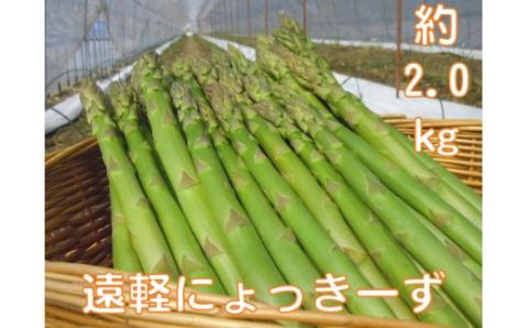 2026年 春アスパラ2kg ( ふるさと納税 アスパラガス グリーンアスパラ 野菜 健康食材 天ぷら 炒め物 パスタ サラダ 大容量 北海道 遠軽町 えんゆう農業協同組合 )