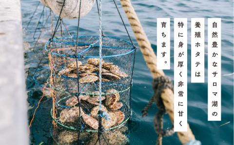 ≪先行予約2025年11月から配送≫北海道サロマ湖産　貝付きホタテ10枚　ほたて　帆立　刺身　海鮮　魚介　殻付き　貝付き　冷蔵　サロマ湖　オホーツク　おほーつく　湧別町　北海道