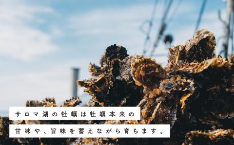 ≪先行予約2025年11月から配送北海道サロマ湖産　カキ約4.7kg　牡蠣　かき　海鮮　魚介　殻付き　貝付き　冷蔵　サロマ湖　オホーツク　おほーつく　湧別町　北海道