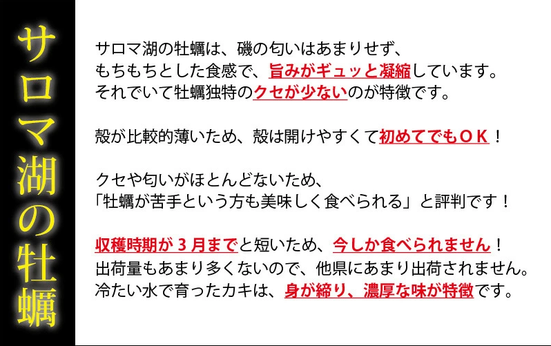 <先行予約2025年11月中旬から発送>牡蠣職人が厳選した殻付きカキ 1.5kg（生食可）牡蠣　かき　カキ　海鮮　魚介　国産　殻付き　冷蔵　焼き牡蠣　蒸し牡蠣　産地直送　生牡蠣　生食　サロマ湖