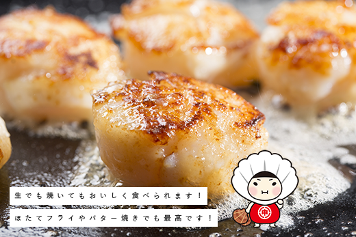 【緊急支援品】北海道 オホーツク産 訳あり 冷凍 天然 ホタテ Bフレーク 2kg 訳アリ　帆立　ホタテ　刺身　玉冷　貝柱　海鮮　魚貝　冷凍　国産　サロマ湖　オホーツク　北海道　湧別町