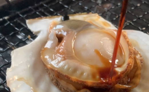 ≪先行予約2024年7月から発送≫あいばのホタテ　殻付き8枚　ほたて　帆立　貝付き　サロマ湖　冷蔵　刺身　オホーツク　おほーつく　湧別町