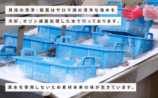 オホーツク海産　冷凍ほたて貝柱500g　玉冷　ホタテ　帆立　フライ　刺身　サロマ湖　魚介　海鮮　湧別　サロマ湖　北海道