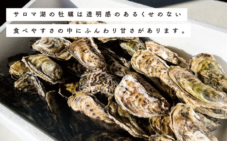 ≪先行予約2025年11月中旬から発送≫北海道サロマ湖産　殻付きかき（生食用）2.5kg