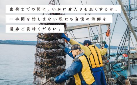 <先行予約2025年11月から発送>北海道サロマ湖産　貝付きホタテ15枚　ほたて　帆立　刺身　海鮮　魚介　殻付き　貝付き　冷蔵　サロマ湖　オホーツク　おほーつく　湧別町　北海道