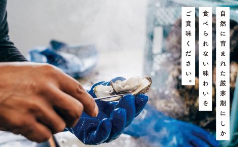 北海道　サロマ湖産　殻付き牡蠣　約4kg　生食用　牡蠣　カキ　かき　海鮮　魚介　国産　殻付き　生牡蠣　生食　焼き牡蠣　蒸し牡蠣　冷蔵　産地直送　サロマ湖　オホーツク　湧別町　北海道