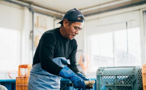北海道　サロマ湖産　貝付きホタテ 12枚　【日時指定不可】帆立　ほたて　刺身　玉冷　海鮮　魚貝　国産　サロマ湖　オホーツク　北海道　湧別町