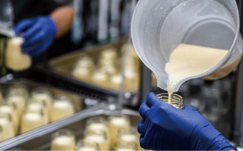 ジャージーA2ミルクで作ったプリン8個