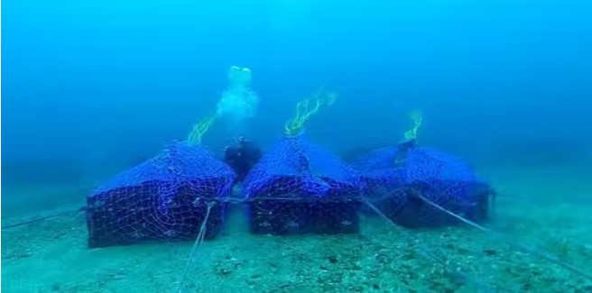 【数量限定！】湧別町サロマ湖海洋熟成日本酒「湧別」720ml　1本　海底酒　熟成　16度　国産　北海道