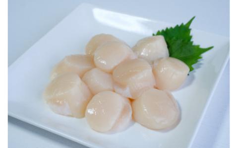 北海道オホーツク海産  冷凍帆立貝柱1kg　ホタテ　帆立　ほたて　玉冷　冷凍　貝柱　海鮮　魚介　国産　サロマ湖　おほーつく　オホーツク　湧別町　北海道