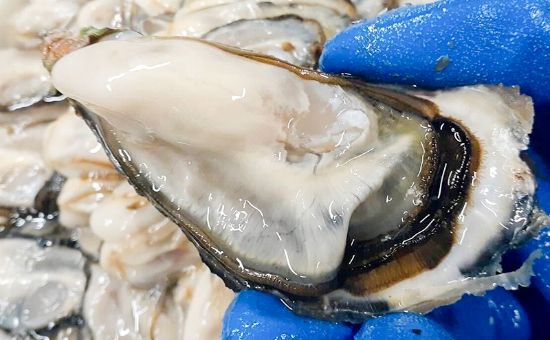 北海道 サロマ湖産 牡蠣 剥き身 400g×2 生食用 かき カキ 海