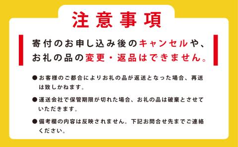 ウスイ　業務用珍味（ほたて焼貝ひも・貝ひも・とば）3ヶ月定期便　珍味　ちんみ　乾物　おつまみ　肴　加工食品　オホーツク　サロマ湖　北海道　湧別町
