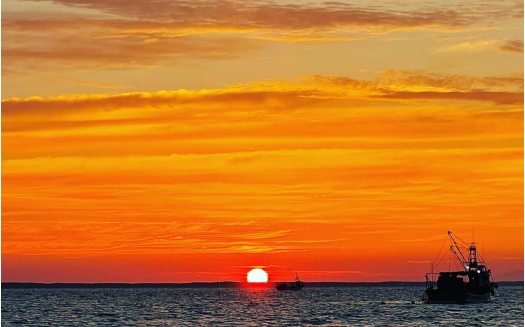 ≪先行予約2024年11月から発送≫北海道オホーツク産　牡蠣むき身1kg（むき身500ｇ✕2）　牡蠣　かき　カキ　むきみ　サロマ湖　さろまこ　湧別町　ゆうべつ　海のミルク