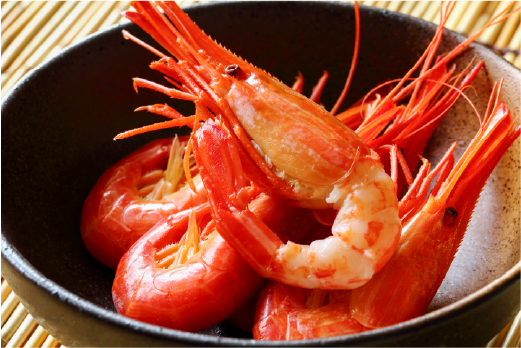 北海道オホーツク海産 天然 ホタテ 貝柱 大 500g ＆ 北海道産 北海シマエビ 大 500g ほたて 帆立 しまえび 海老 えび エビ