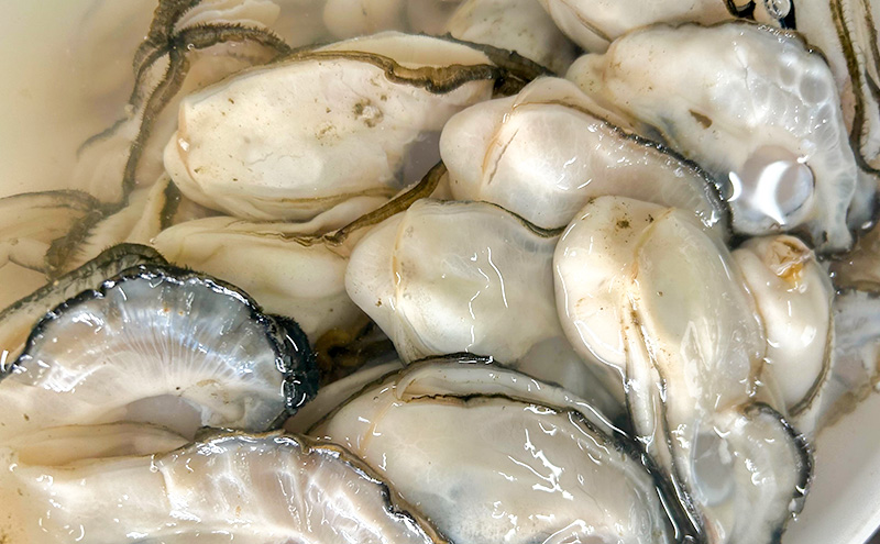 北海道 サロマ湖産 牡蠣 剥き身 400g×2 生食用 かき カキ 海