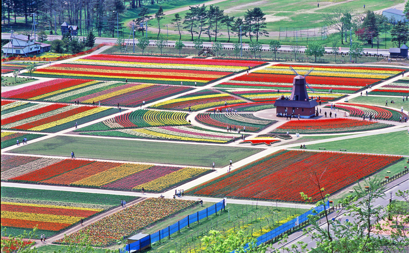北海道湧別町　寄附のみの応援受付　5,000円コース（返礼品なし　寄附のみ　5,000円）