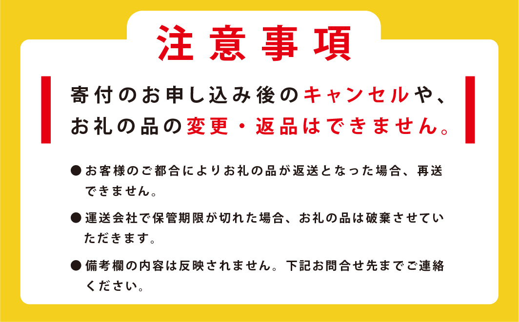 【3ヵ月定期便】≪TVで紹介！番組で絶賛されたラーメン！≫オホーツクの塩ラーメン　16袋　1箱　らーめん　塩味　乾燥麺　インスタント　湧別町　北海道
