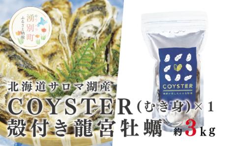 ≪先行予約2025年11月から配送≫北海道サロマ湖産【COYSTER（むき身）×1+2年物殻付き龍宮牡蠣3kg】カキナイフ付　牡蠣　カキ　かき　海鮮　魚介　国産　殻付き　むき身　生牡蠣　生食　焼き牡蠣　蒸し牡蠣　冷蔵　産地直送　サロマ湖　オホーツク　湧別町　北海道