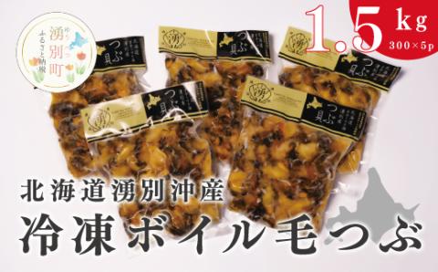 北海道湧別沖産　冷凍ボイル毛つぶ1.5kg（300g×5パック）つぶ貝 北海道 北海道産 ツブ貝 国産 アヒージョ 貝 刺身 海鮮 海鮮食品 魚介類 魚介 人気 オホーツク 湧別町