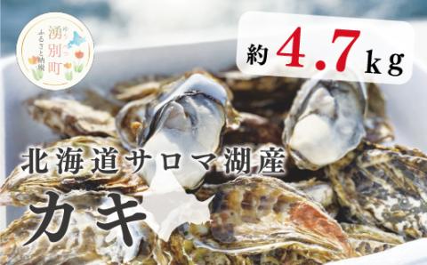 <先行予約2025年11月から発送>北海道サロマ湖産  カキ約4.7kg　牡蠣　かき　海鮮　魚介　殻付き　貝付き　冷蔵　サロマ湖　オホーツク　おほーつく　湧別町　北海道