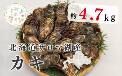 ≪先行予約2025年11月から配送北海道サロマ湖産　カキ約4.7kg　牡蠣　かき　海鮮　魚介　殻付き　貝付き　冷蔵　サロマ湖　オホーツク　おほーつく　湧別町　北海道
