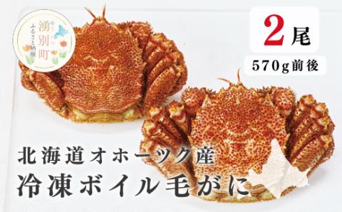 北海道オホーツク産  冷凍ボイル毛がに570g前後×2尾 　	[№5930-0265]北海道オホーツク産 冷凍ボイル毛がに660g前後×2尾　蟹　かに　カニ　毛がに　毛蟹　海鮮　魚介　国産　冷凍　産地直送　オホーツク　湧別町　北海道