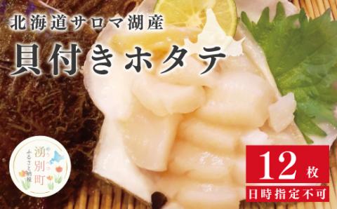 北海道　サロマ湖産　貝付きホタテ 12枚　【日時指定不可】帆立　ほたて　刺身　玉冷　海鮮　魚貝　国産　サロマ湖　オホーツク　北海道　湧別町