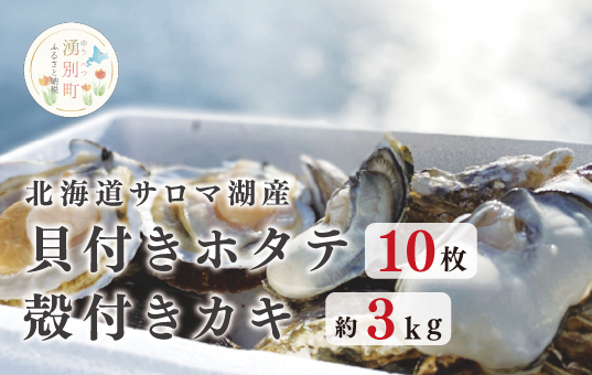 <先行予約2025年11月から発送>北海道サロマ湖産　貝付きホタテ10枚・カキ約3kg　ほたて　帆立　刺身　牡蠣　かき　海鮮　魚介　殻付き　貝付き　冷蔵　サロマ湖　オホーツク　おほーつく　湧別町　北海道