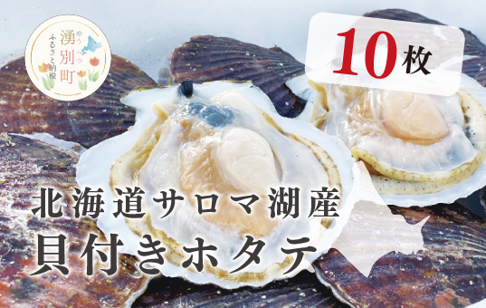 <先行予約2025年11月から発送>北海道サロマ湖産　貝付きホタテ10枚　ほたて　帆立　刺身　海鮮　魚介　殻付き　貝付き　冷蔵　サロマ湖　オホーツク　おほーつく　湧別町　北海道