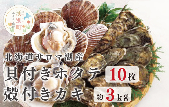 ≪先行予約2025年11月から配送≫北海道サロマ湖産　貝付きホタテ10枚・カキ約3kg　ほたて　帆立　刺身　牡蠣　かき　海鮮　魚介　殻付き　貝付き　冷蔵　サロマ湖　オホーツク　おほーつく　湧別町　北海道