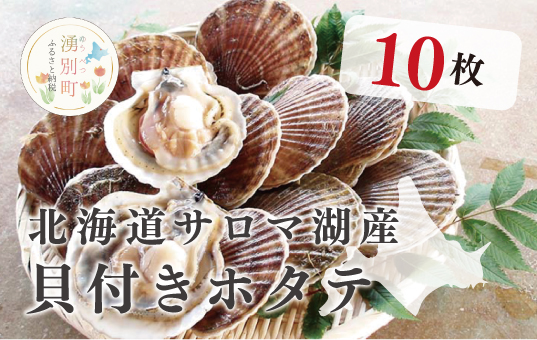 ≪先行予約2025年11月から配送≫北海道サロマ湖産　貝付きホタテ10枚　ほたて　帆立　刺身　海鮮　魚介　殻付き　貝付き　冷蔵　サロマ湖　オホーツク　おほーつく　湧別町　北海道