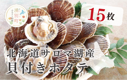 ≪先行予約2025年11月から配送北海道サロマ湖産　貝付きホタテ15枚　ほたて　帆立　刺身　海鮮　魚介　殻付き　貝付き　冷蔵　サロマ湖　オホーツク　おほーつく　湧別町　北海道
