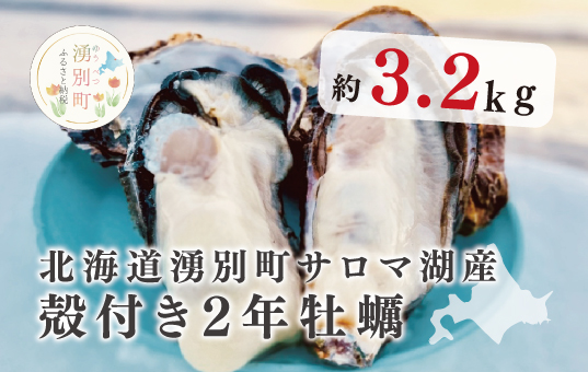 ≪先行予約11月中旬から発送≫北海道湧別町サロマ湖産　殻付き2年牡蠣3.2kg（約24～32個入）牡蠣　カキ　かき　海鮮　魚介　国産　殻付き　生牡蠣　生食　焼き牡蠣　蒸し牡蠣　冷蔵　産地直送　サロマ湖　オホーツク　湧別町　北海道