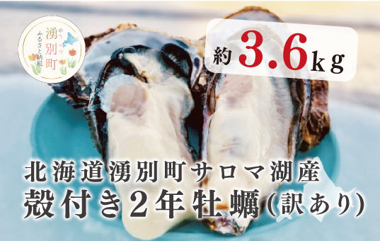 ≪先行予約11月中旬から発送≫北海道湧別町サロマ湖産　殻付き2年牡蠣3.6㎏（約38個入）牡蠣　カキ　かき　海鮮　魚介　国産　殻付き　生牡蠣　生食　焼き牡蠣　蒸し牡蠣　冷蔵　産地直送　サロマ湖　オホーツク　湧別町　北海道