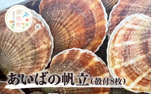 ≪先行予約2024年7月から発送≫あいばのホタテ　殻付き8枚　ほたて　帆立　貝付き　サロマ湖　冷蔵　刺身　オホーツク　おほーつく　湧別町
