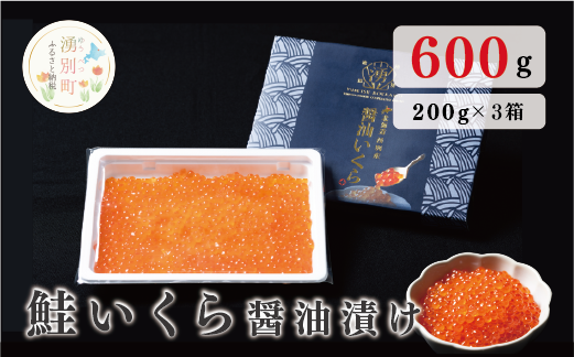 北海道オホーツク産　鮭いくら醤油漬け　200g×3箱　オホーツク　イクラ　サケ　サロマ湖　湧別町　海産　魚介