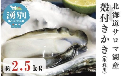 ≪先行予約2025年11月中旬から発送≫北海道サロマ湖産　殻付きかき（生食用）2.5kg