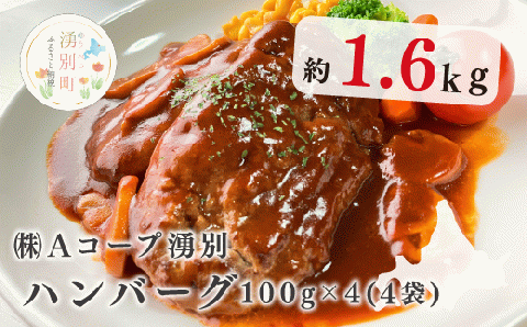 北海道産　ゆうべつ牛　ハンバーグ１６個（４個入り×４パック）