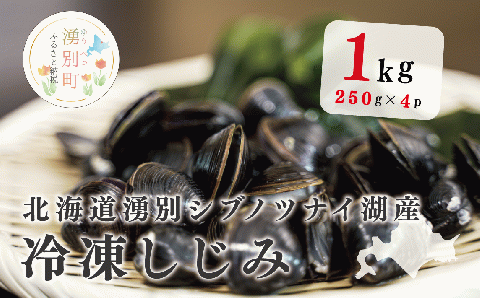 北海道湧別シブノツナイ湖産  冷凍しじみ250g×4パック　魚介類　魚貝類　貝　味噌汁　スープ　冷凍　サロマ湖　オホーツク　おほーつく　北海道