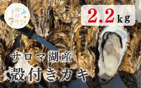 ≪先行予約11月中旬から発送≫サロマ湖産殻付きカキ2.2㎏