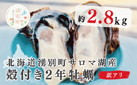 北海道湧別町サロマ湖産　殻付き牡蠣訳あり2.8㎏　牡蠣　かき　カキ　海鮮　魚介　国産　殻付き　貝付き　生牡蠣　生食　焼き牡蠣　蒸し牡蠣　冷蔵　産地直送　サロマ湖　おほーつく　オホーツク　北海道