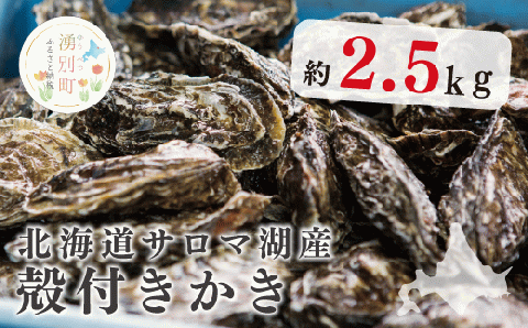北海道サロマ湖産殻付きかき2.5kg　かき　海鮮　魚貝　国産　貝付き　生牡蠣　生食　焼き牡蠣　蒸し牡蠣　冷蔵　産地直送　サロマ湖　オホーツク　北海道　湧別