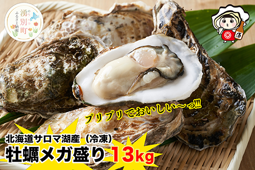 ≪先行予約2024年11月配送開始≫[国内消費拡大求む] 北海道 サロマ湖産 冷凍 殻付き牡蠣 13kg (2年物) 加熱用