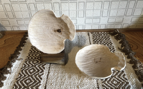 木芸作家たまさんが造る ホタテの形の木のお皿 食器 皿 工芸品 ホタテの形 木のお皿 手作り オホーツク 北海道 湧別町