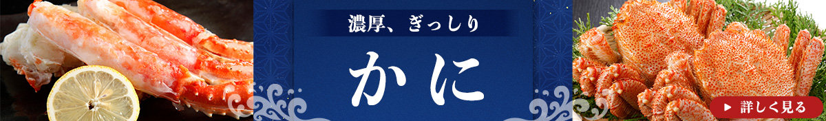 自治体ページ表示用3