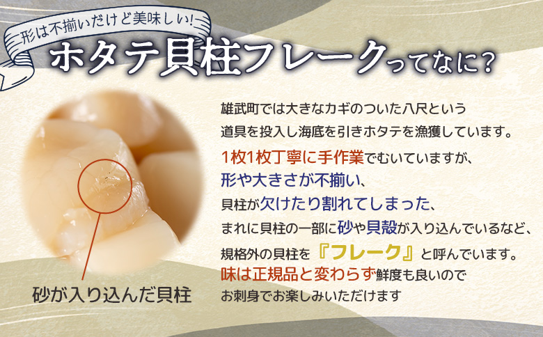 ＜2026年1月営業日より順次発送＞ちょっと訳ありホタテ貝柱小分け1.2kg【0320102】