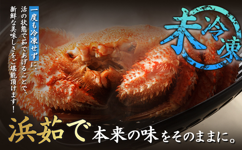 北海道オホーツク海産 朝ゆで毛ガニ 800g前後（冷蔵）【07148】